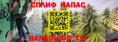 сатива Пенза