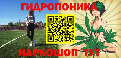 прущие грибы Партизанск