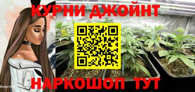 сатива Пенза