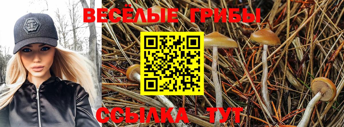 Галлюциногенные грибы мицелий  Вход с VPN  Сорочинск 